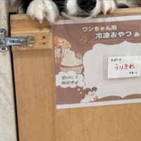 サロン