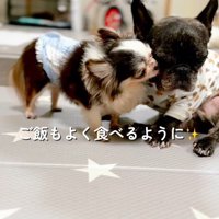 本来の明るく人懐こい性格に！