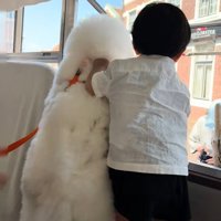 外を見るふたり