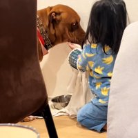 わんこの口を拭く娘さん