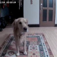 リモートオヤツで気分転換