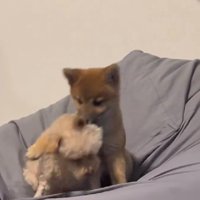 なんだかんだ仲良しです♡