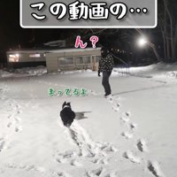 ピタッと停止！