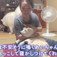 お母さんの抱っこでリラックス