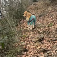 ルッツくんが見ていたのは…