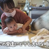 うつ伏せの練習をする赤ちゃん