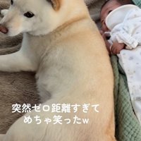 赤ちゃんに寄り添うカナちゃん