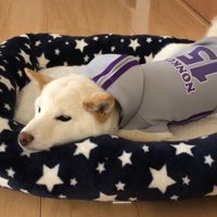 拗ねたお顔も可愛い