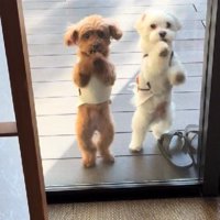 「もう入りたい！！」