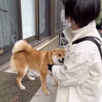 お顔をピトッ