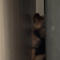 思わずホッコリ