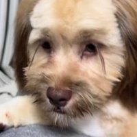 仕上がった姿とは…？