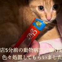 ガリガリで汚れていた