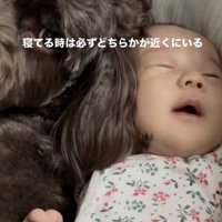 安心して爆睡中…