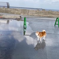 大きな水たまりが！！