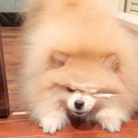 くぐり抜けられません！