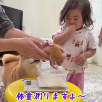体重測定の見学も