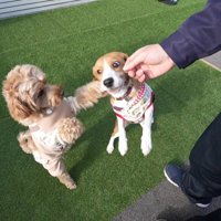 仕返しにパンチ！