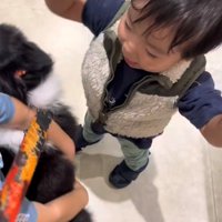 再会に喜ぶ男の子