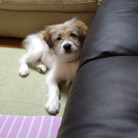 すくすく成長して…