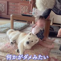 「大丈夫だよ」