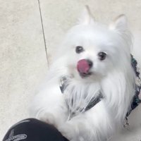 まるで子どもみたい！？