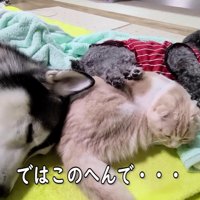 仲睦まじい姿にホッコリ♡