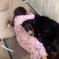 抱きつかれる超大型犬