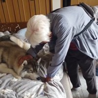 大福くんを労うおばあちゃん