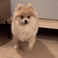 「助けに来たよ！」