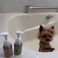 自宅でシャンプーした結果…