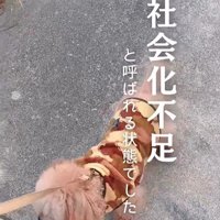 すいーぶ君の変化3