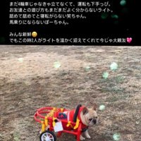 車椅子のライトくんとお友達6