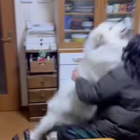 お母さんにも容赦なし