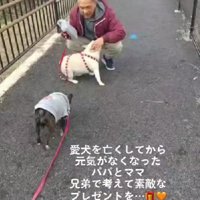 2匹のわんこを亡くして…