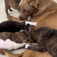 こんなに幸せな姿に！！