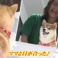 「ママがいる…？」