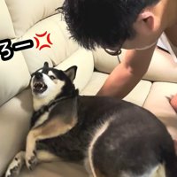 強制的に移動させたら…