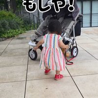 むぎちゃんと女の子2人のお散歩4