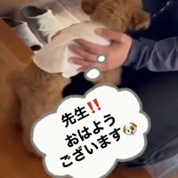 先生に挨拶
