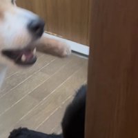 閉じ込めるために一致団結！？