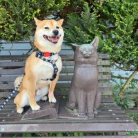 ニコニコ