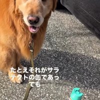カメラ目線のチェスターくん