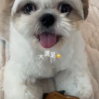 笑顔のちろ君