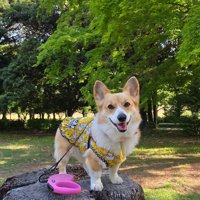 公園