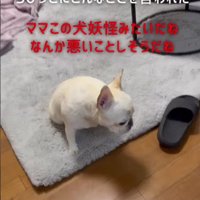 「妖怪みたい」