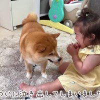 ついに泣かせちゃった！！
