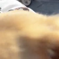 カメラにドンッ