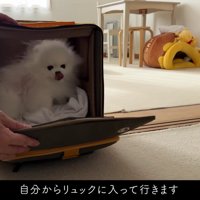 嬉しそうに自分から入った