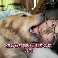 女性の顎を噛む犬
